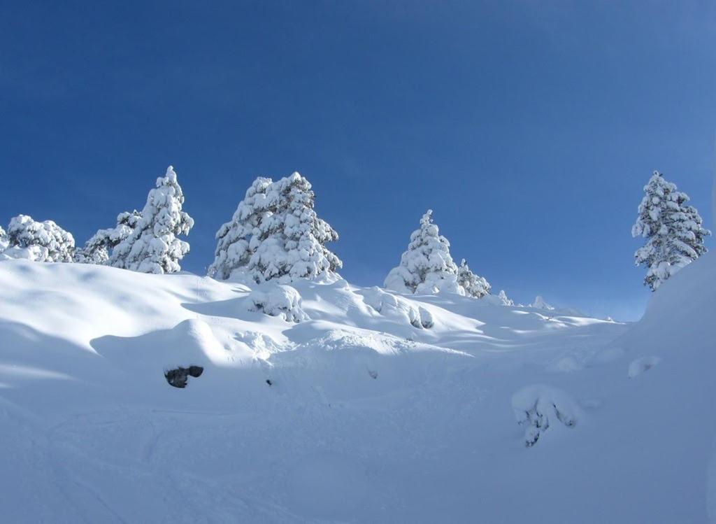 Апартаменты Javalambre Mountain Superski Камарена-де-ла-Сьерра Экстерьер фото