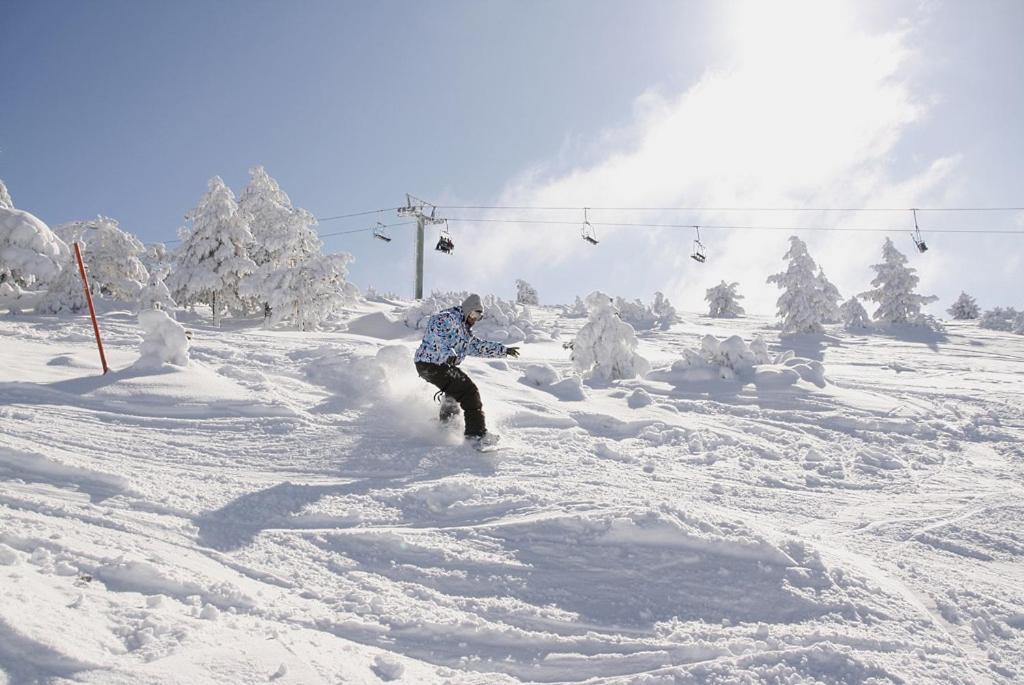 Апартаменты Javalambre Mountain Superski Камарена-де-ла-Сьерра Экстерьер фото